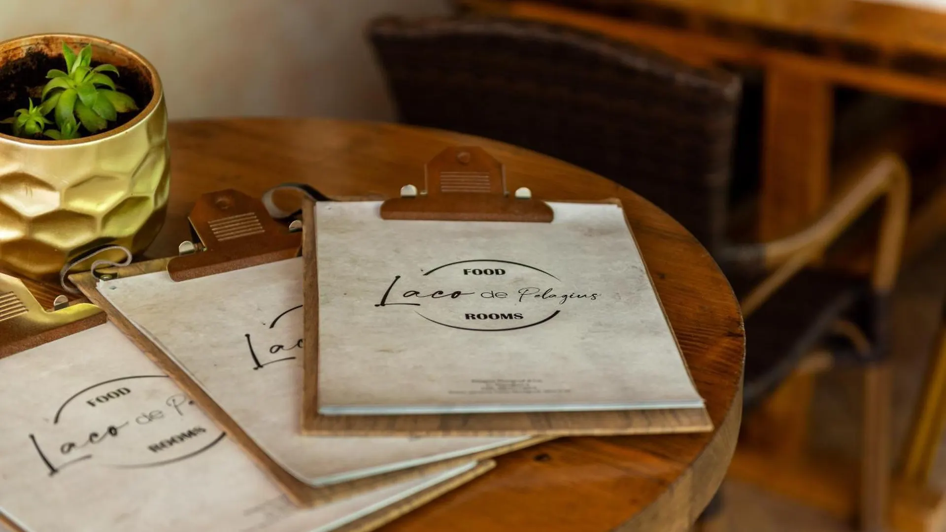 Laco De Pelagius Rooms Novigrad Istria Croácia